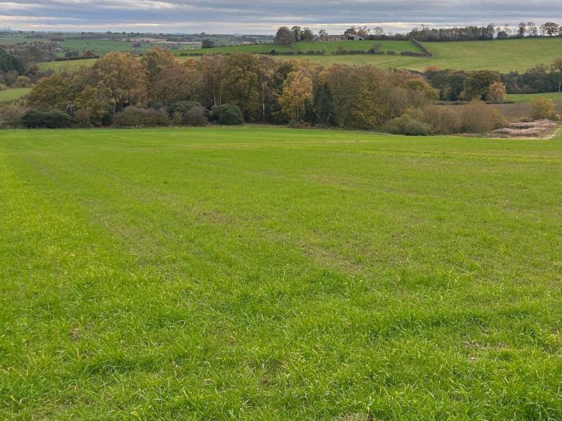 Spring Grassland Management